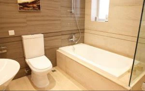 PMMA / ABS Sheet Bathtub Closestool